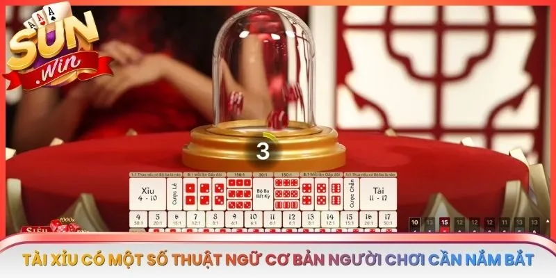 Tài xỉu có một số thuật ngữ cơ bản người chơi cần nắm bắt